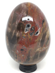 Petrified Wood Egg #34 - 10cm