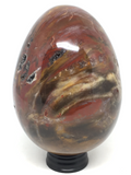 Petrified Wood Egg #34 - 10cm