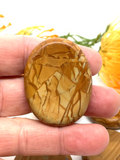 Picture Jasper Worry Stone