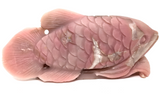 Pink Opal Fish #420
