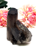 Smokey Quartz Natural Point #357