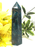 Apatite Generator Point #335 - 11.7cm