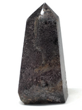Lodolite Chlorite Generator Point # 488
