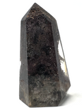 Lodolite Chlorite Generator Point # 488