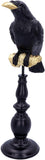 Ravens Watch 36cm