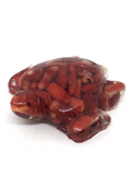 Red Coral Turtle