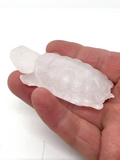 Selenite Turtle