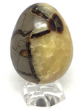 Septarian Egg # 106