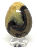 Septarian Egg # 115