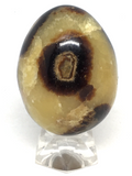 Septarian Egg # 116