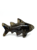 Labradorite Shark #27 - 5cm