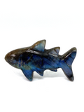 Labradorite Shark #28 - 4.8cm