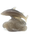Agate Geode Shark #448