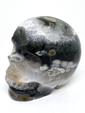 Bubble Ocean Jasper Skull #465