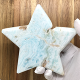 Caribbean Calcite Star #323