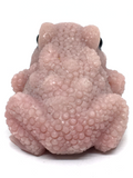 Pink Opal Toad #329