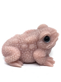 Pink Opal Toad #329