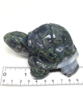 Moss Agate Tortoise #242