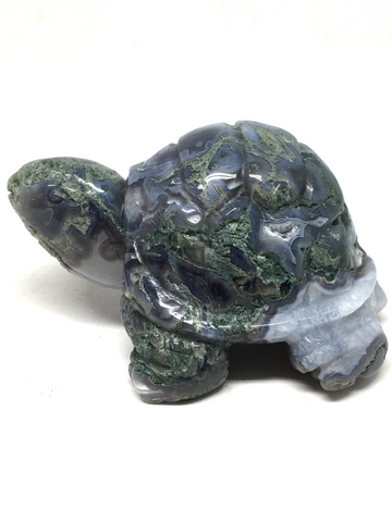 Moss Agate Tortoise #242