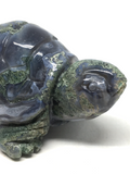 Moss Agate Tortoise #242