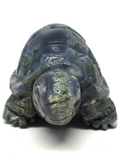 Moss Agate Tortoise #242