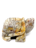 Crazy Lace Agate Turtle #130