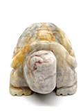 Crazy Lace Agate Turtle #130