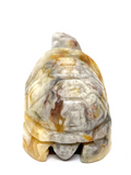 Crazy Lace Agate Turtle #130