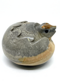 Polychrome Jasper Turtle Hatchling #166