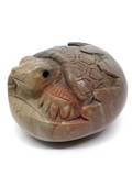 Polychrome Jasper Turtle Hatchling #167