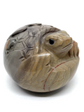 Polychrome Jasper Turtle Hatchling #167