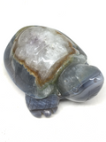 Agate Turtle #244