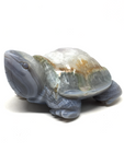 Agate Turtle #244