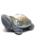 Agate Turtle #244