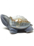 Agate Turtle #244