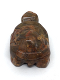 Crazy Lace Agate Turtle #28