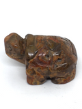 Crazy Lace Agate Turtle #28
