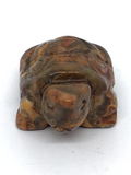 Crazy Lace Agate Turtle #28