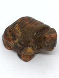 Crazy Lace Agate Turtle #28