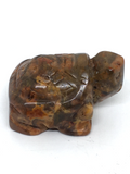Crazy Lace Agate Turtle #28