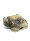 Crazy Lace Agate Turtle #36