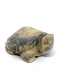 Crazy Lace Agate Turtle #36