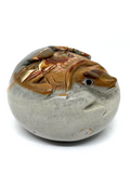 Polychrome Jasper Turtle Hatchling #83
