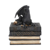 Secrets Of The Dragon Trinket Box - 19cm