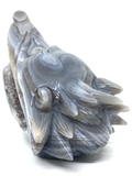 Agate Geode Wolf #245