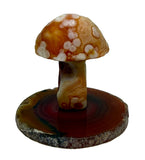 Gobi Desert Agate Mushroom