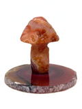 Gobi Desert Agate Mushroom