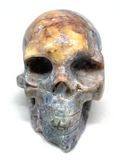 Ocean Jasper Skull #227