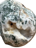 Tree Agate Skull #237 - 12.5cm