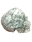 Tree Agate Skull #237 - 12.5cm